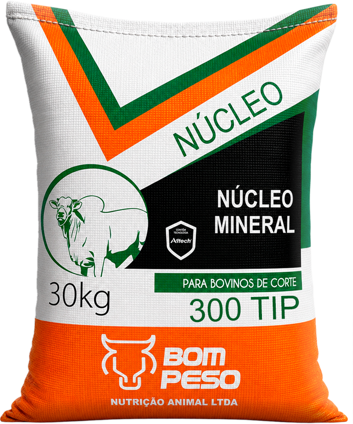 Núcleo Bom Peso 300 TIP